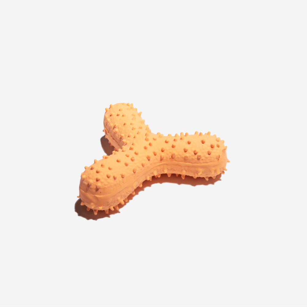 Squeaky Rubber Dog Chew Toys-FunnyFuzzy