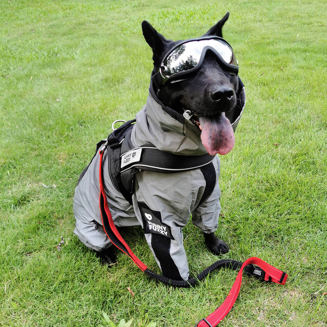 Dog all in one cheap raincoat