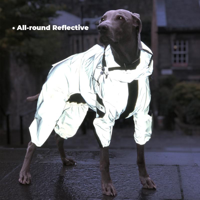 Reflective All-weather Waterproof Dog Rain Coat