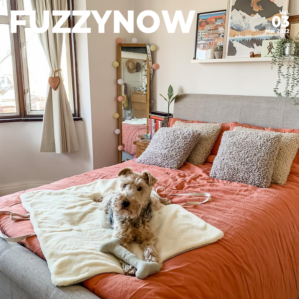 Celebrate Women's Day with your dog!-FunnyFuzzy