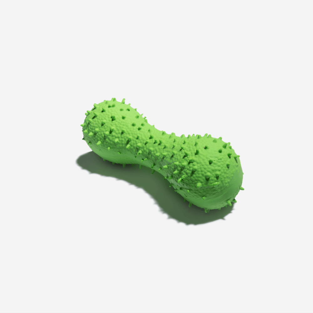 Green dumbbell shaped dog toy on the white background.