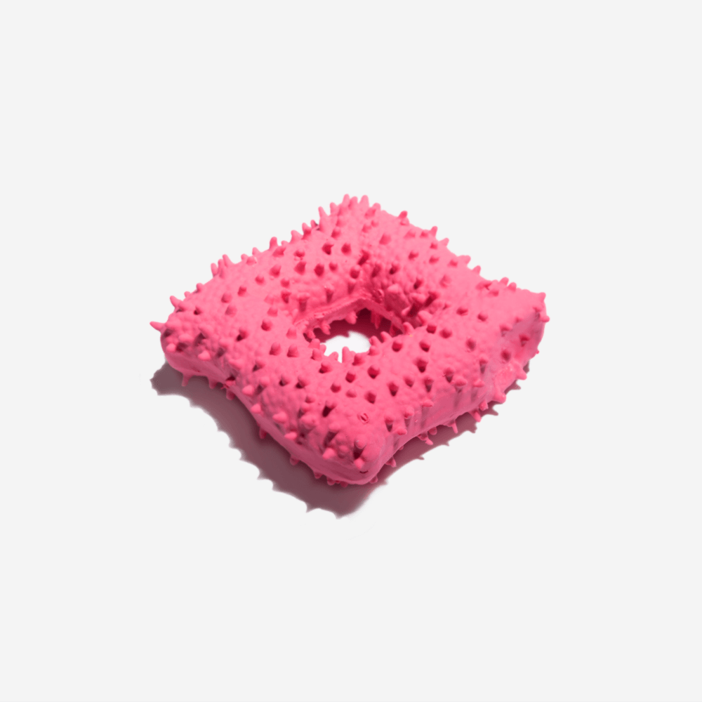 Squeaky Rubber Dog Chew Toys-FunnyFuzzy