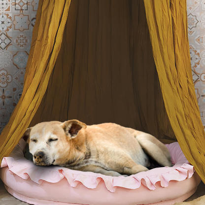 Soft Cosy Dog Tent Dog Teepee