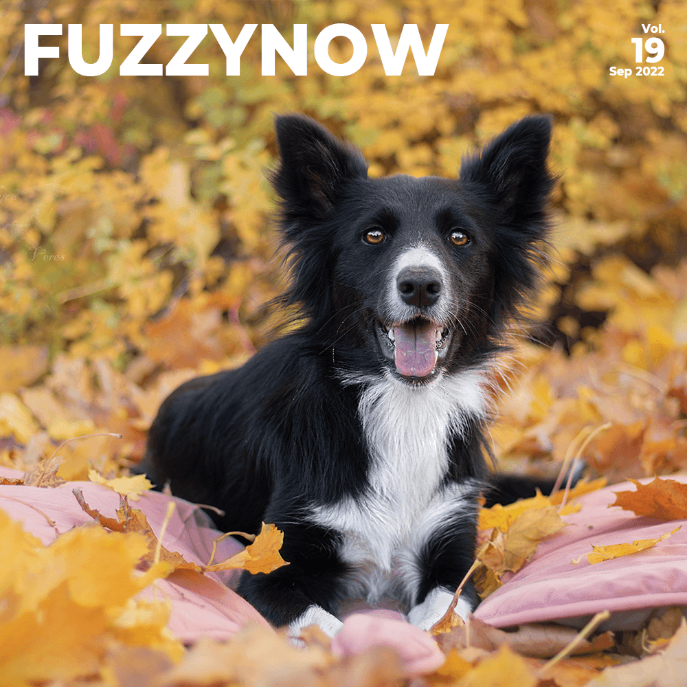 Autumn Equinox Today!-FunnyFuzzy