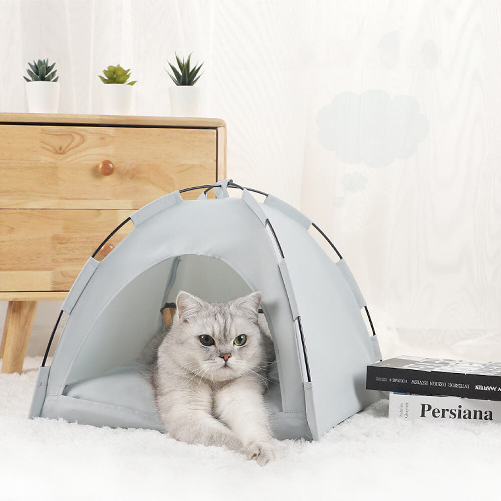 Indoor cat sale tent