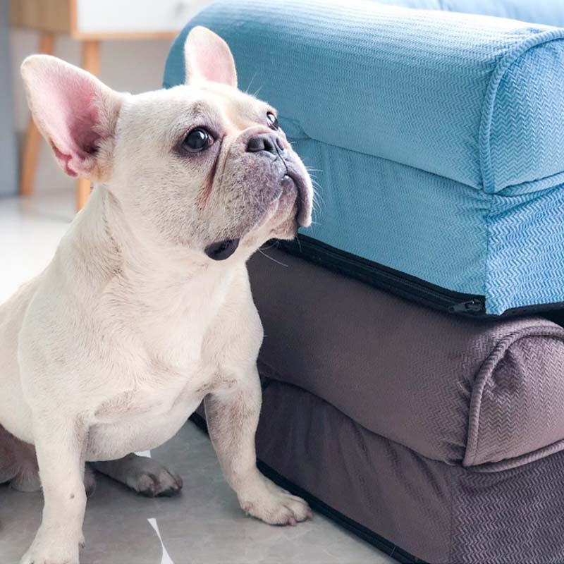 Square Full-wrapped Removable Dog Sofa Bed