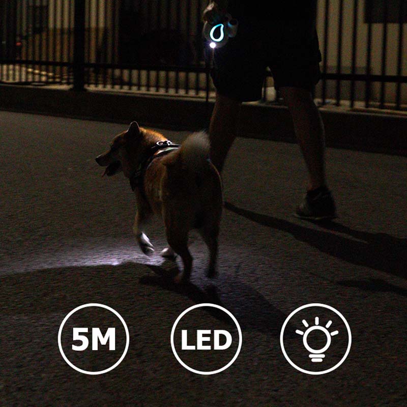 Automatic Retractable LED Light Up Dog Lead
