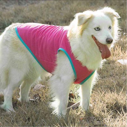 Cooling Quick Dry Four-legged Dog Shirts Dog Vest