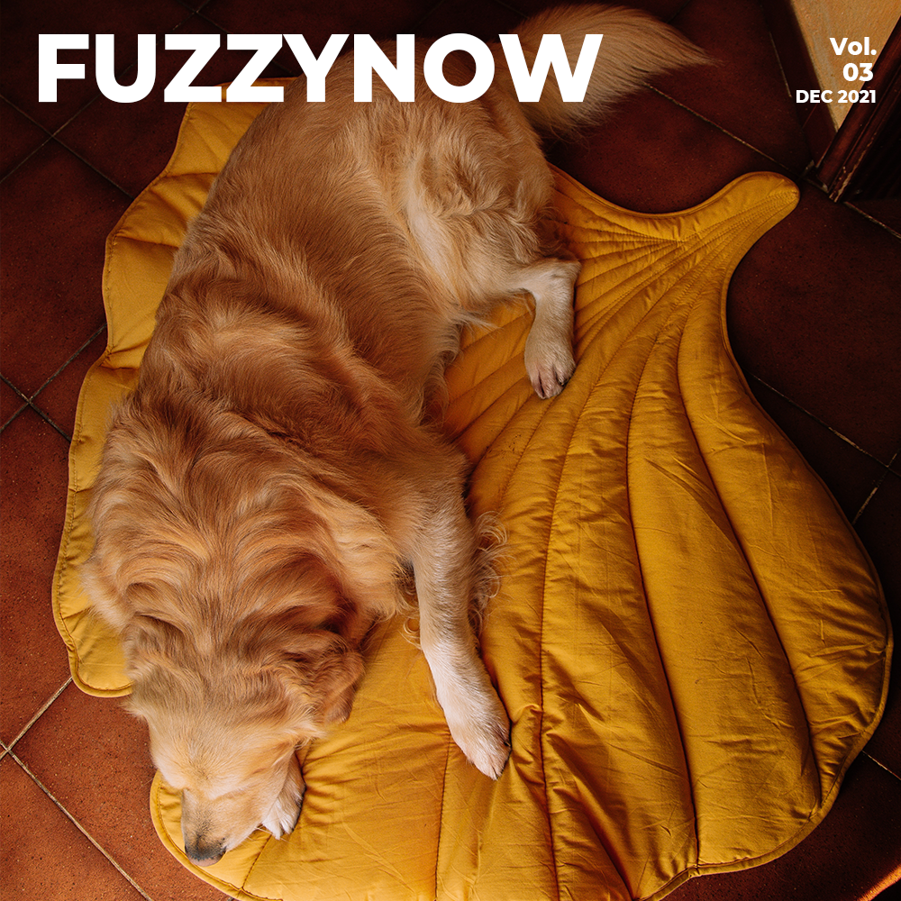 Taking their sweet naps-FunnyFuzzy