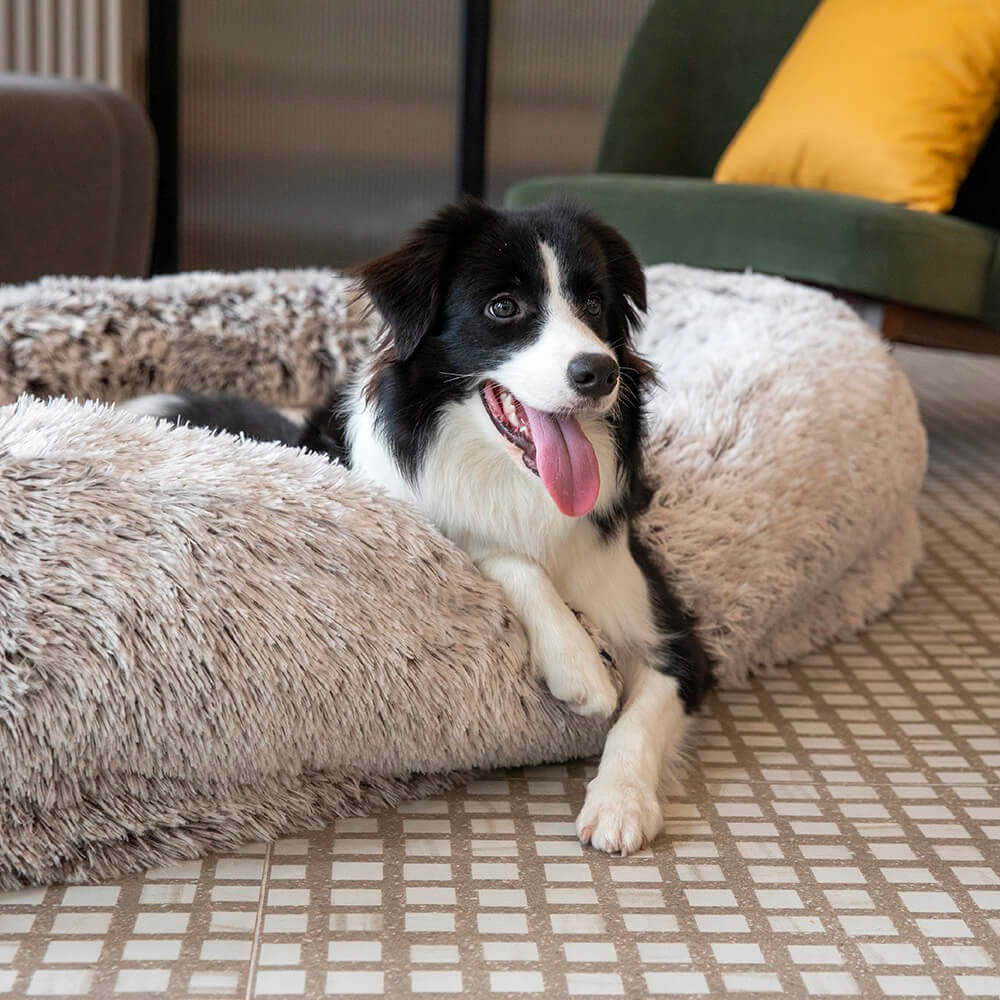 Luxury Super Large Human Dog Bed With Super Soft Throw Blanket