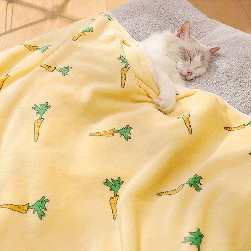 Super Soft Pet Blanket Cat Kneading Blanket