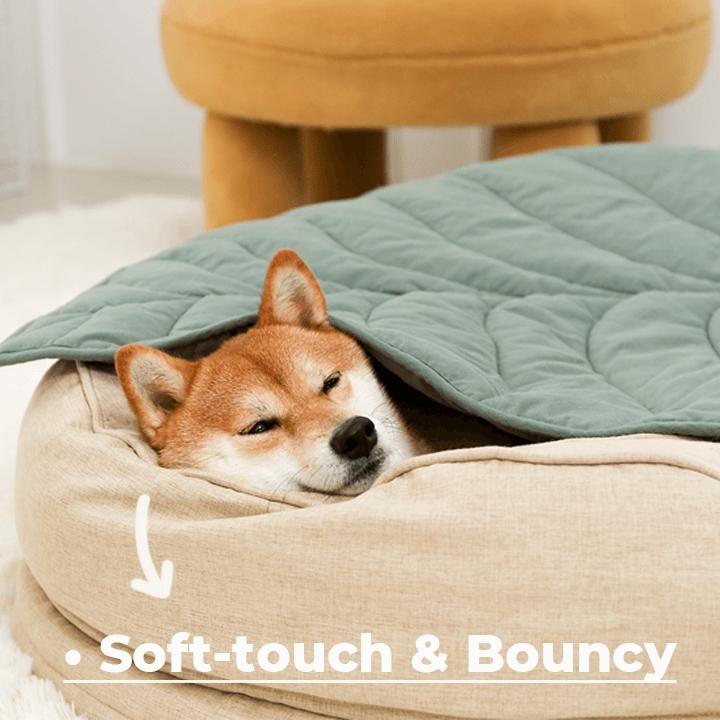 Dog Bed - Donut-FunnyFuzzy