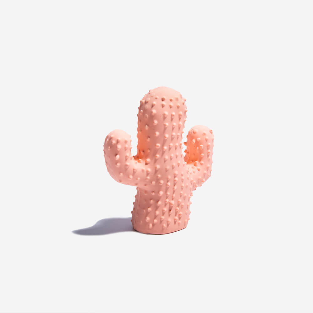 Pink cactus shaped dog toy on the white background.