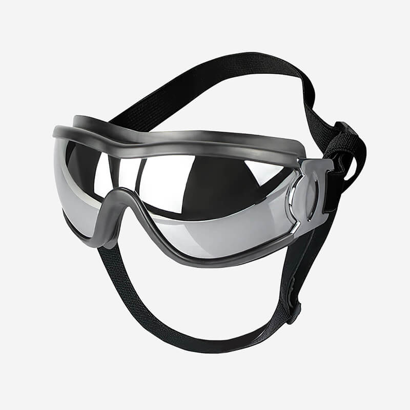 Dog safety glasses online