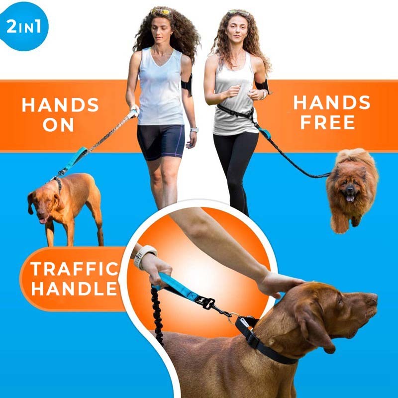 Multifunction Hands Free Dog Lead With Safety Seat Belt