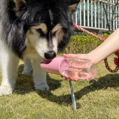 Portable Outdoor Dog Water Bottle