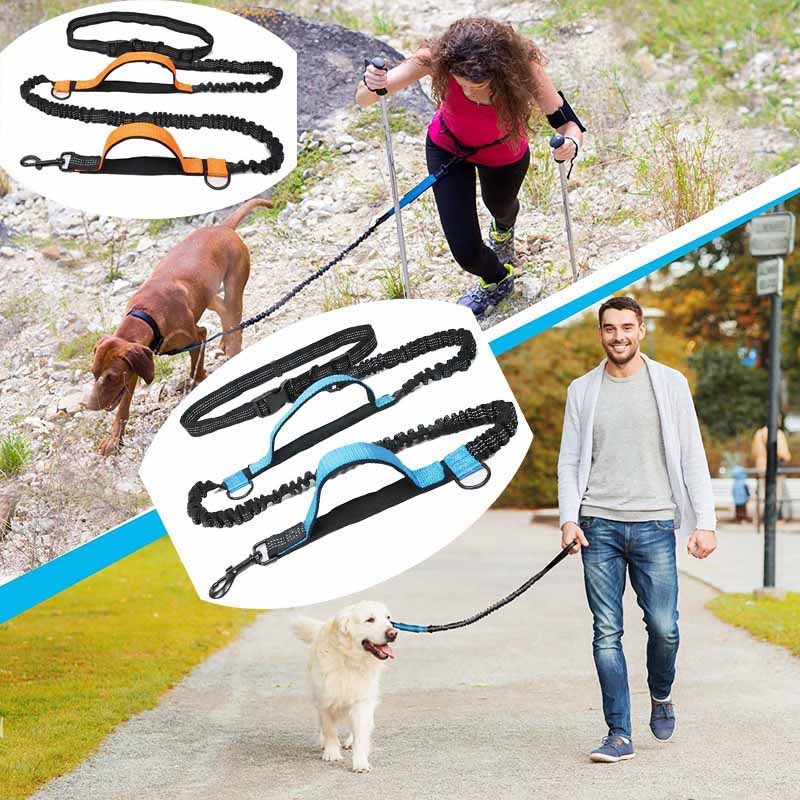 Multifunction Hands Free Dog Lead With Safety Seat Belt