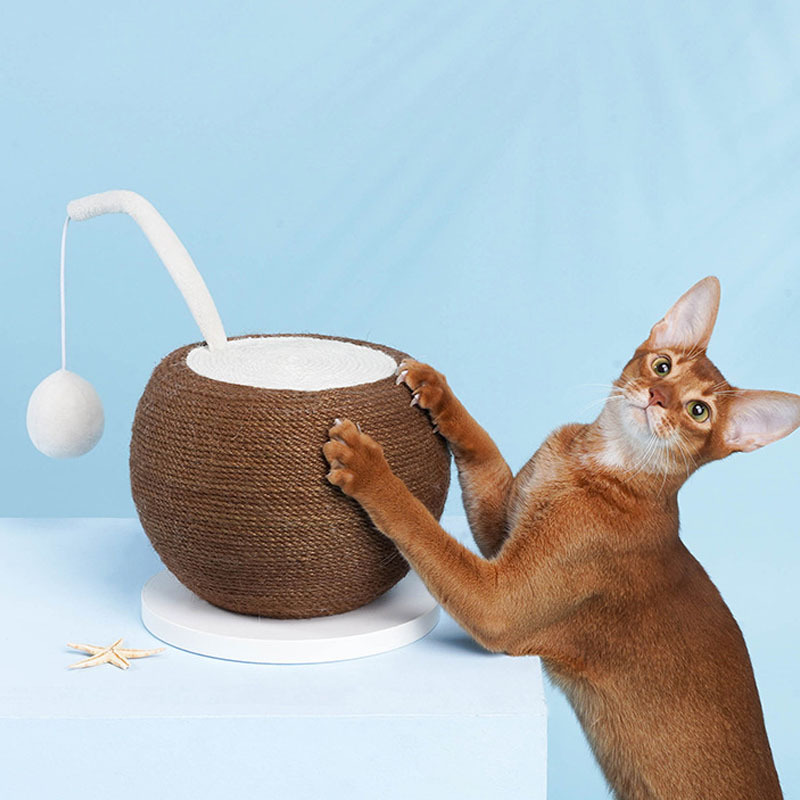 Summer Coconut Cat Scratching Board Claw Sharpeners