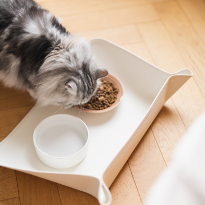 Pet Food Spill Proof Mat Waterproof & Greaseproof Bowl Mat