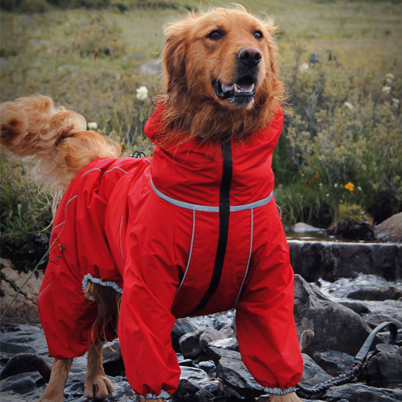 Dog Raincoats - FunnyFuzzy