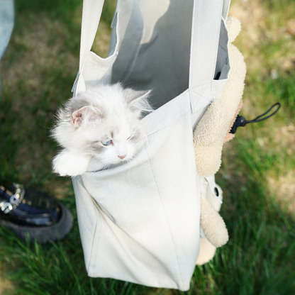 Portable Exposed Head Cat Travel Backpack
