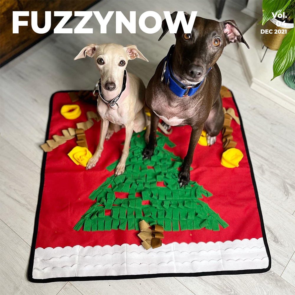 Happy Christmas-FunnyFuzzy
