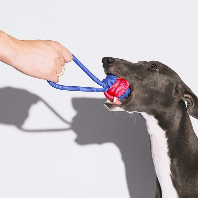 Rope tug toys outlet for dogs