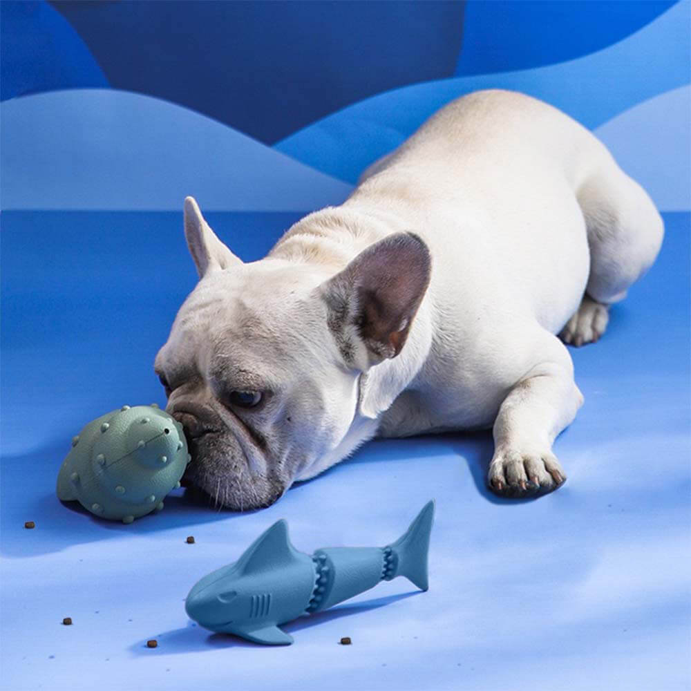 Treat Dispenser Dog Toy Set - Ocean