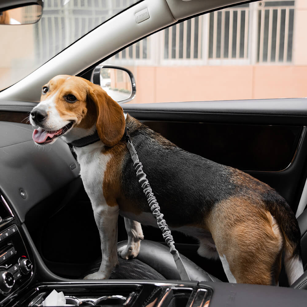 Buffer Adjustable Dog Car Seat Belt