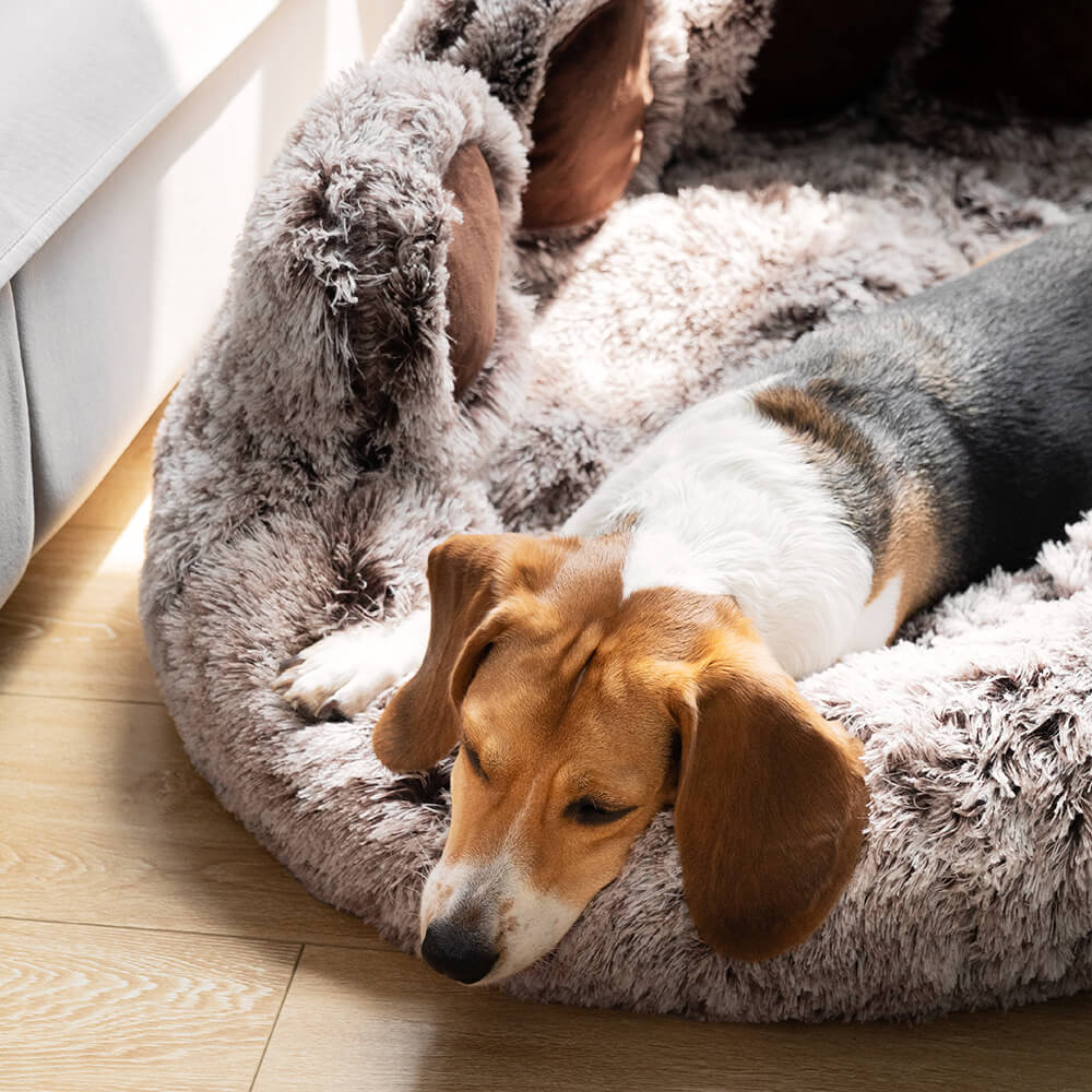 Paw prints dog outlet bed