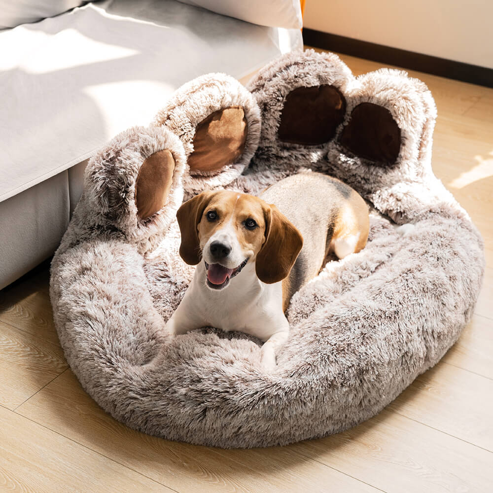 Paw print 2025 dog bed