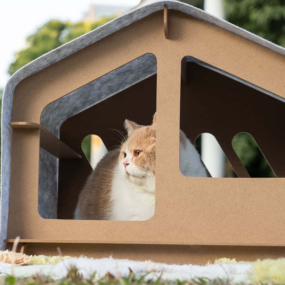 Extra large sale cat house