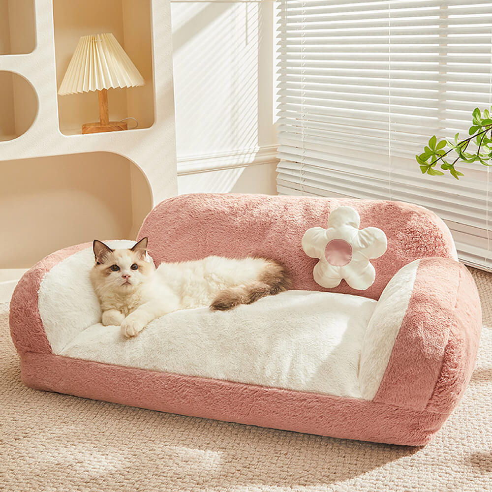 Fashion clearance dog bed