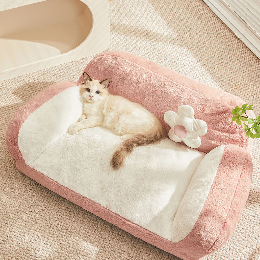 Cat 2024 sofa bed