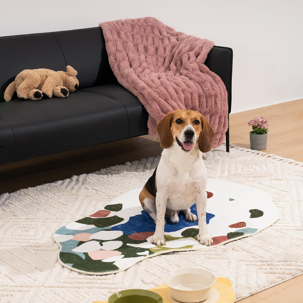 Dog rug deals