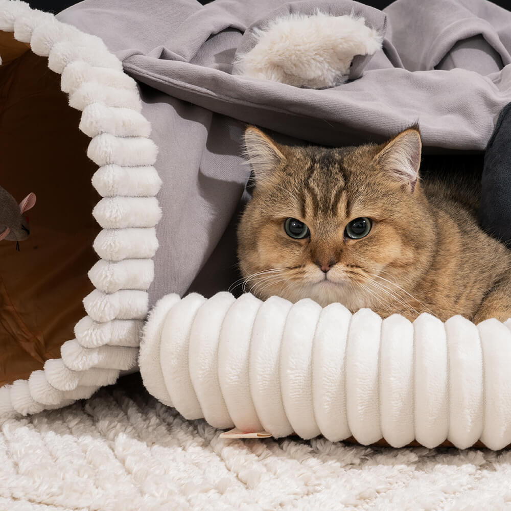 Koalaing 2 in 1 Foldable Indoor Soft Cat Tunnel Bed