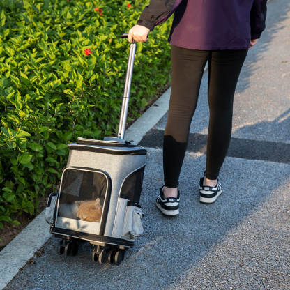Portable Folding Trolley Universal Wheels Travel Large Pet Carrier Backpack