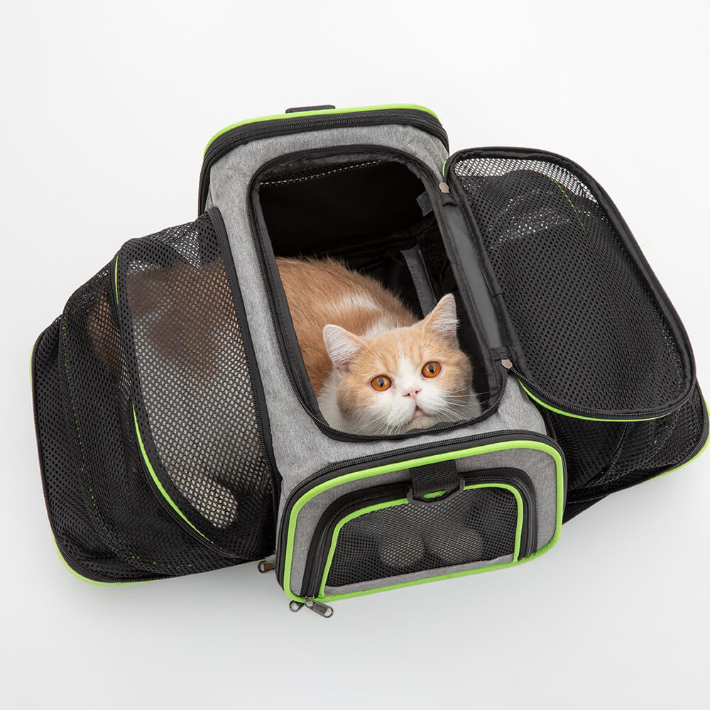 Cat deals carrier funny