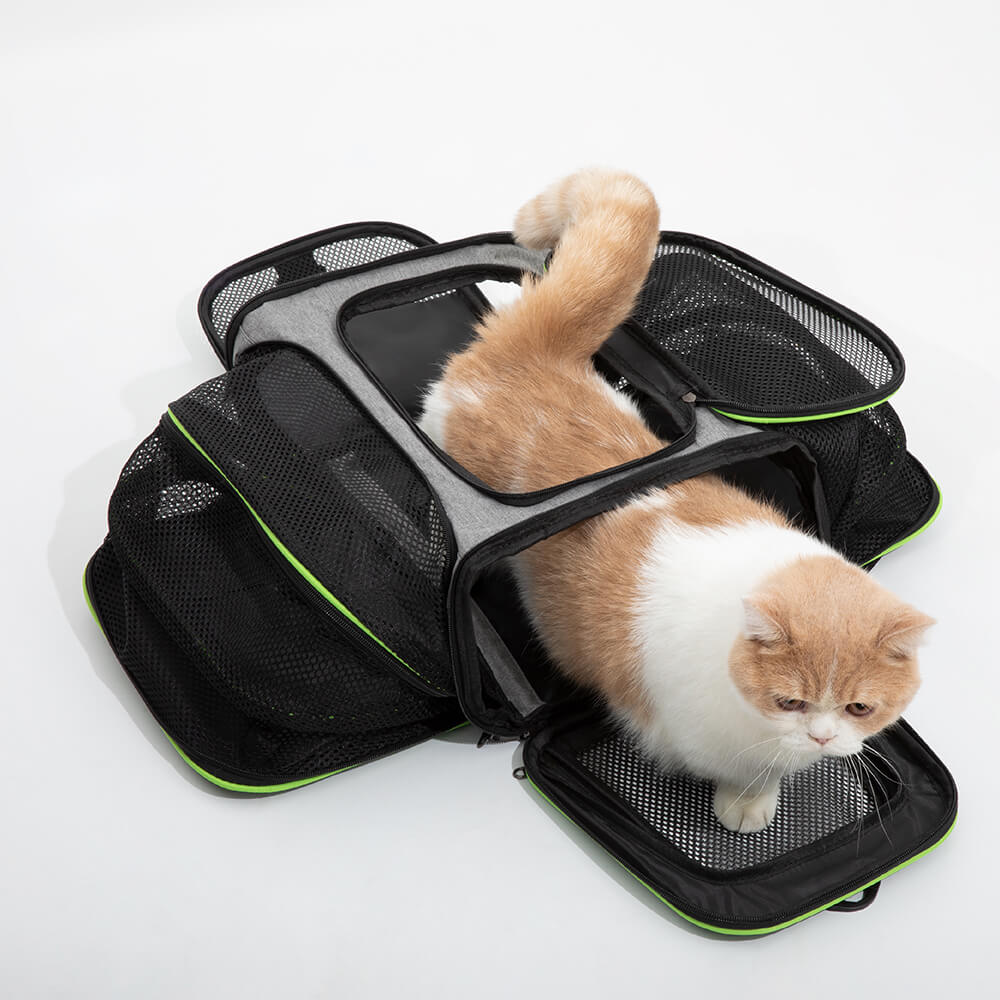 Cat store travel pouch