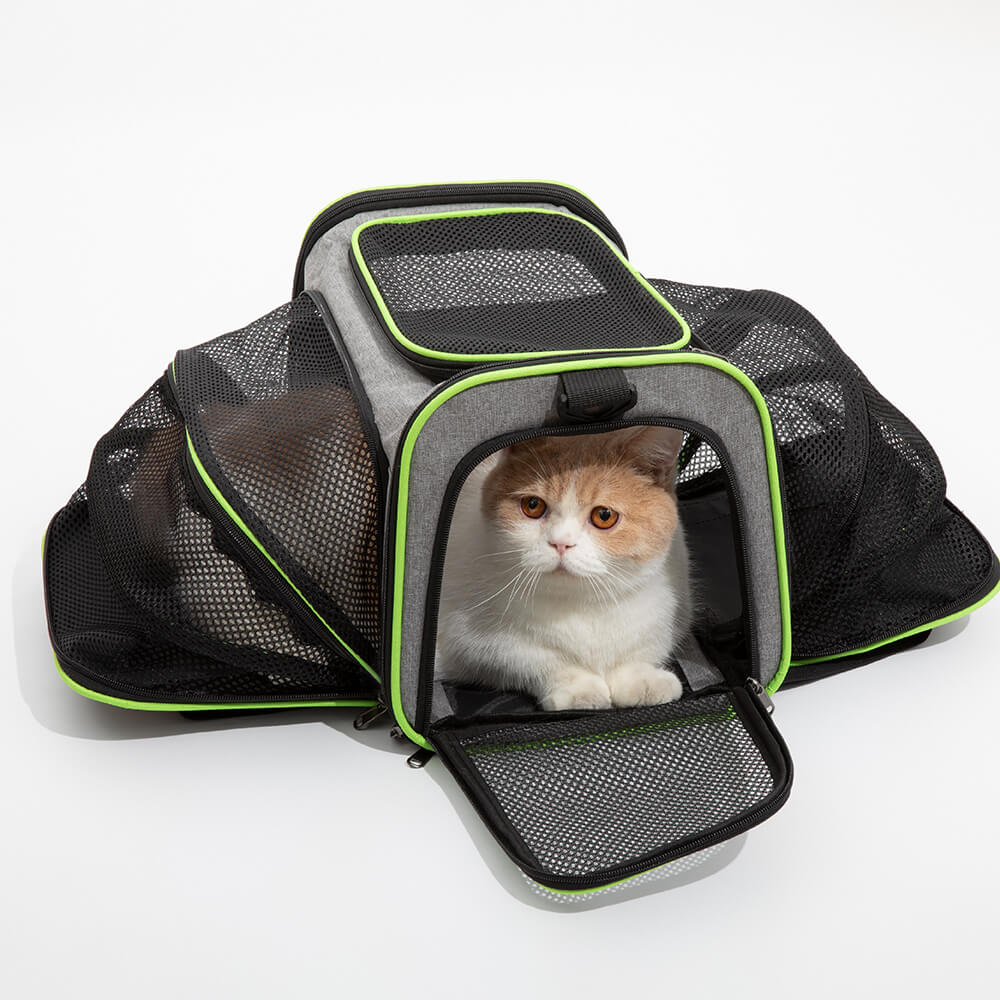 All in one breathable travel outlet carrier