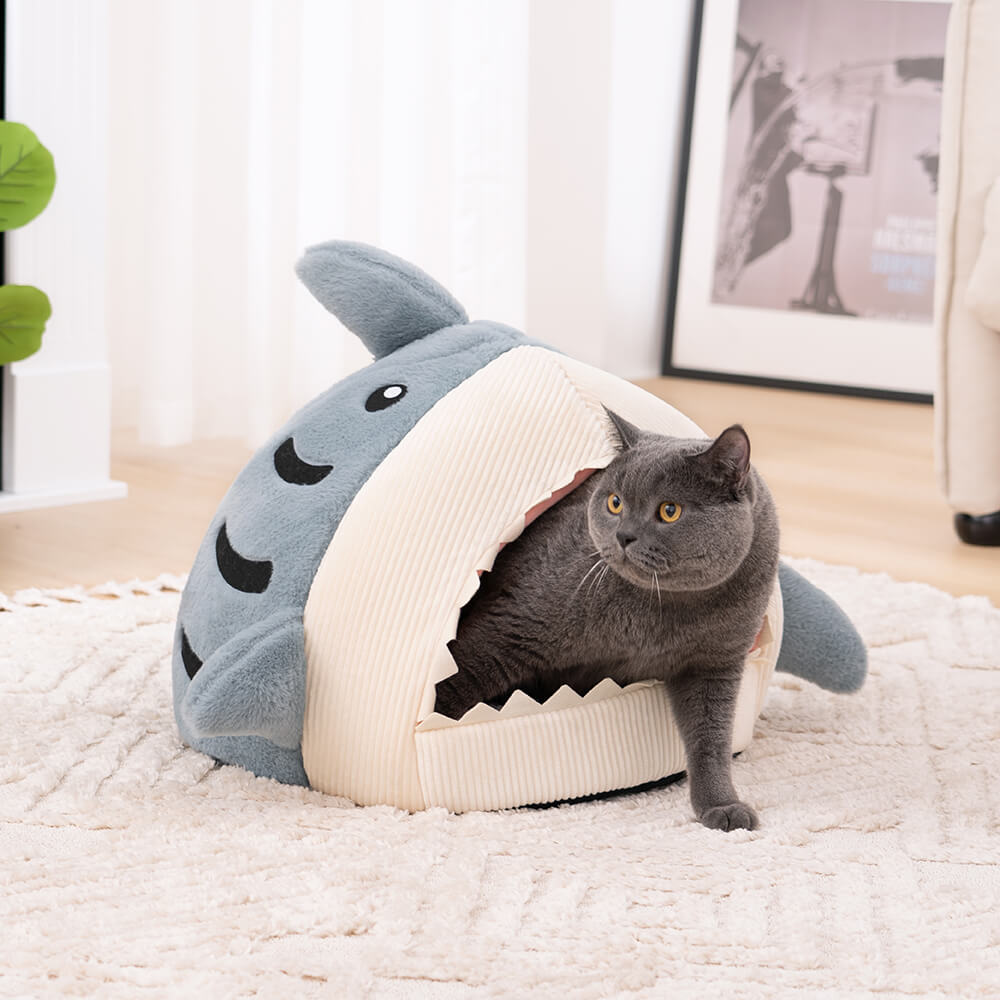 Shark cheap cat house