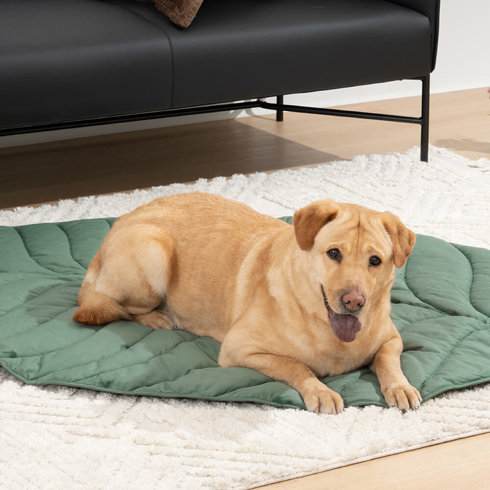 Super Large High Quality Leaf Shape Human Mat Dog Blanket