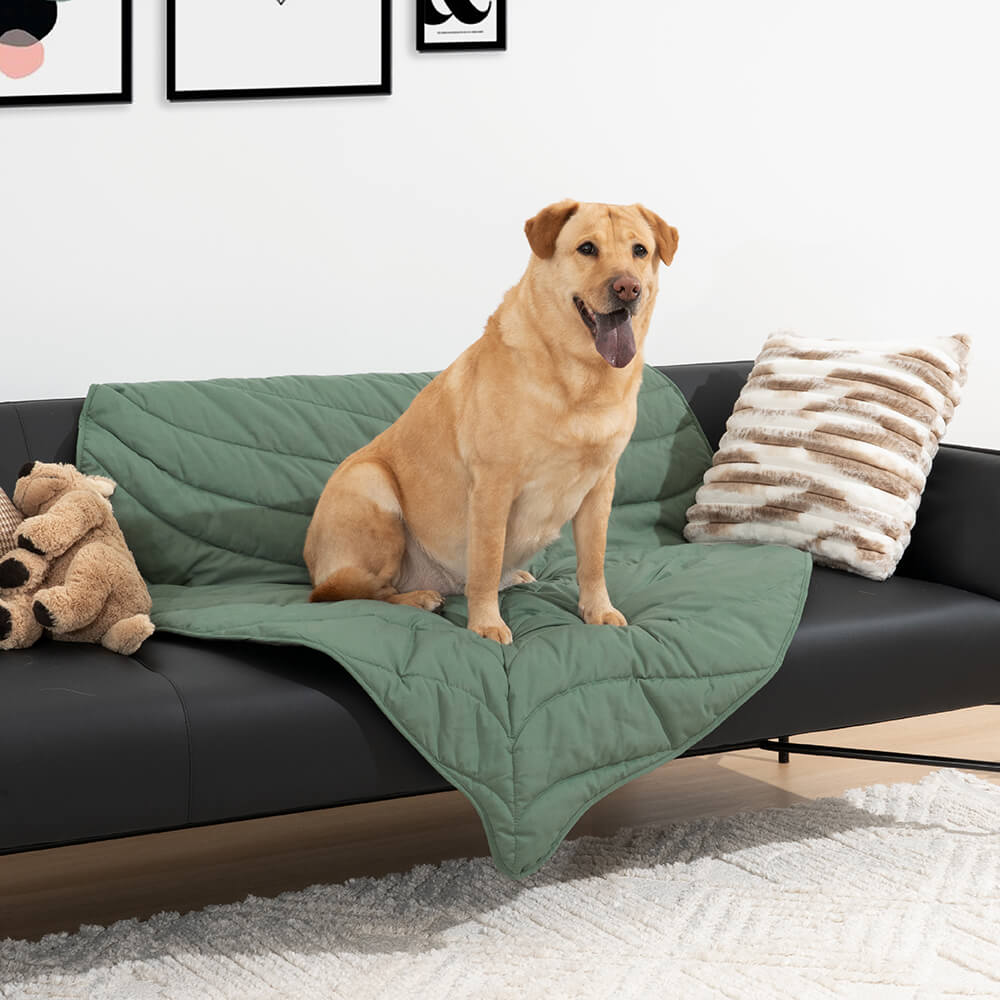 Dog blanket for store couch