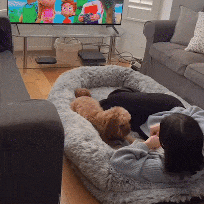 FunnyFuzzy's Human Dog Bed