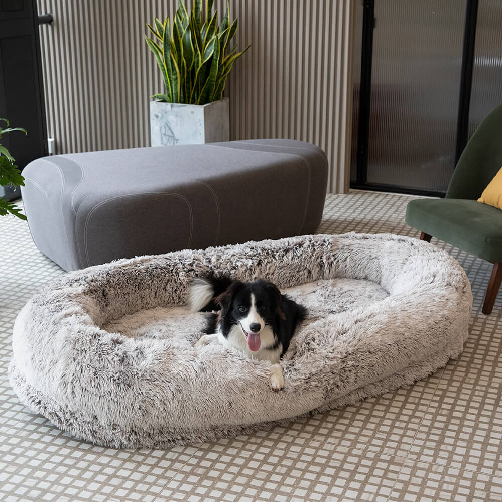 Luxury Super Large Sleep Deeper Human Dog Bed