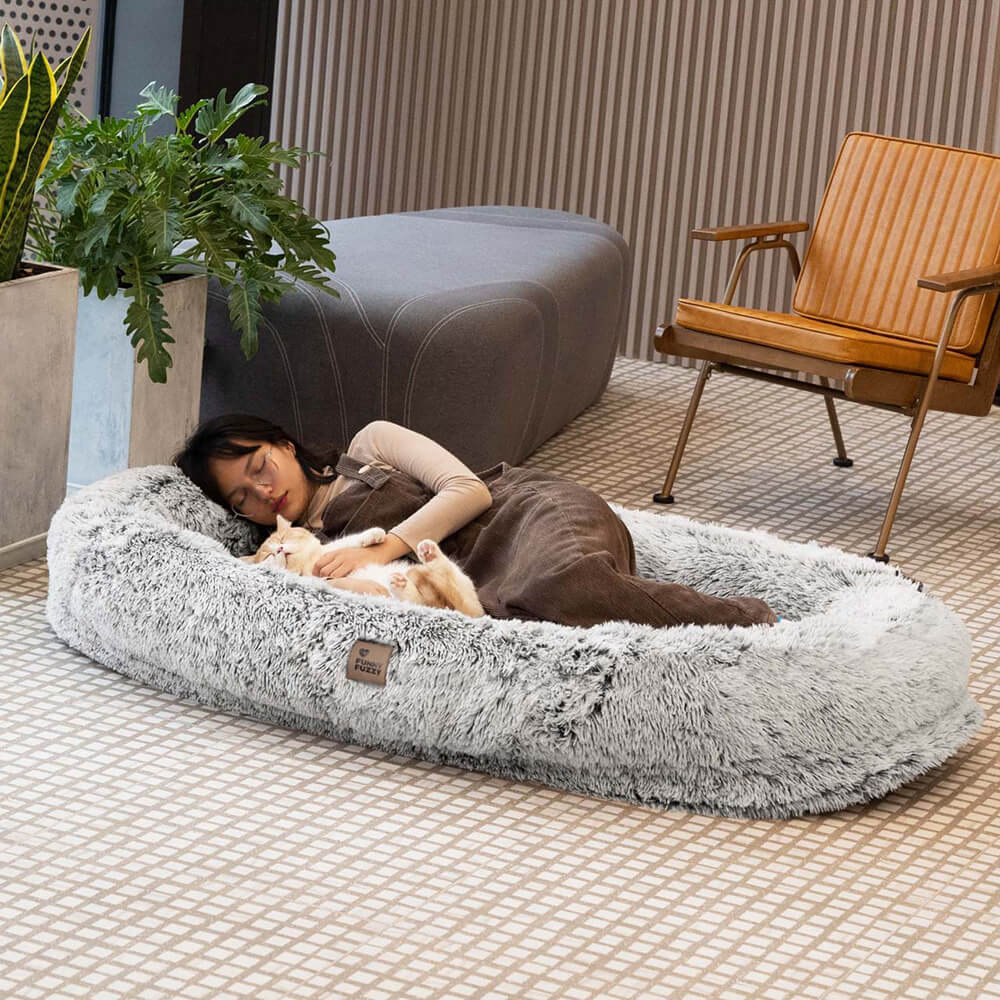 Human sized best sale dog bed