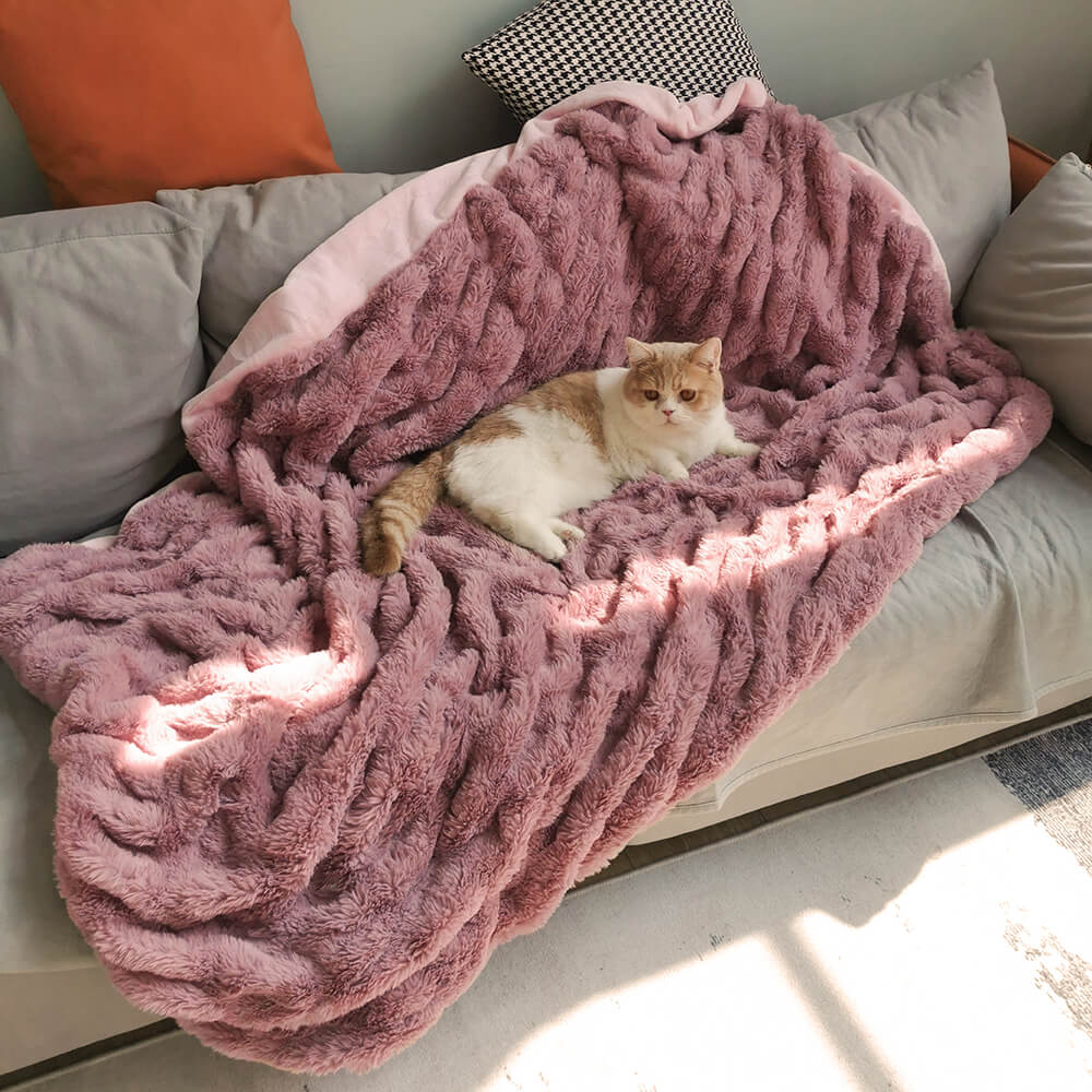 Fluffy top cat blanket