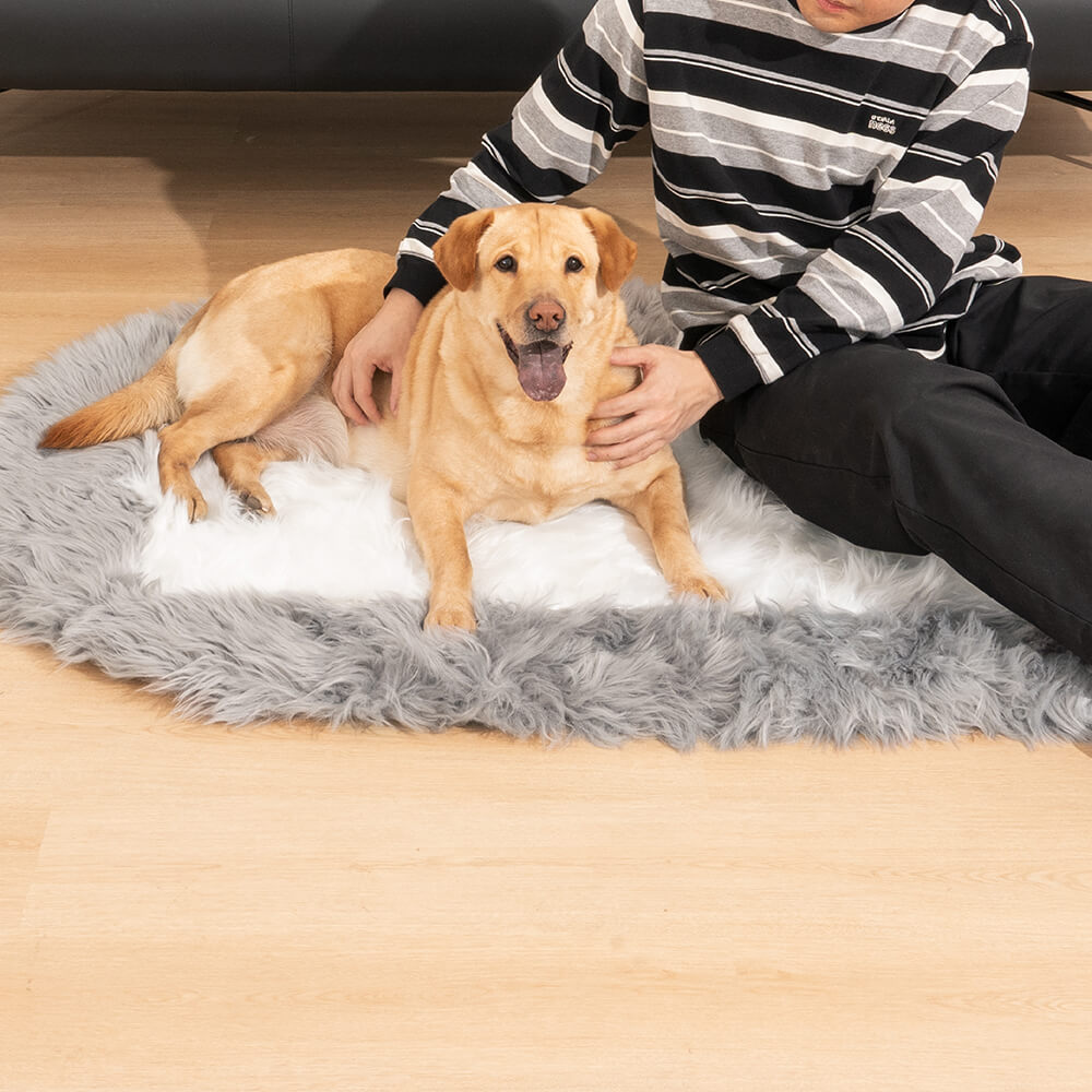 Memory foam dog bed rug sale