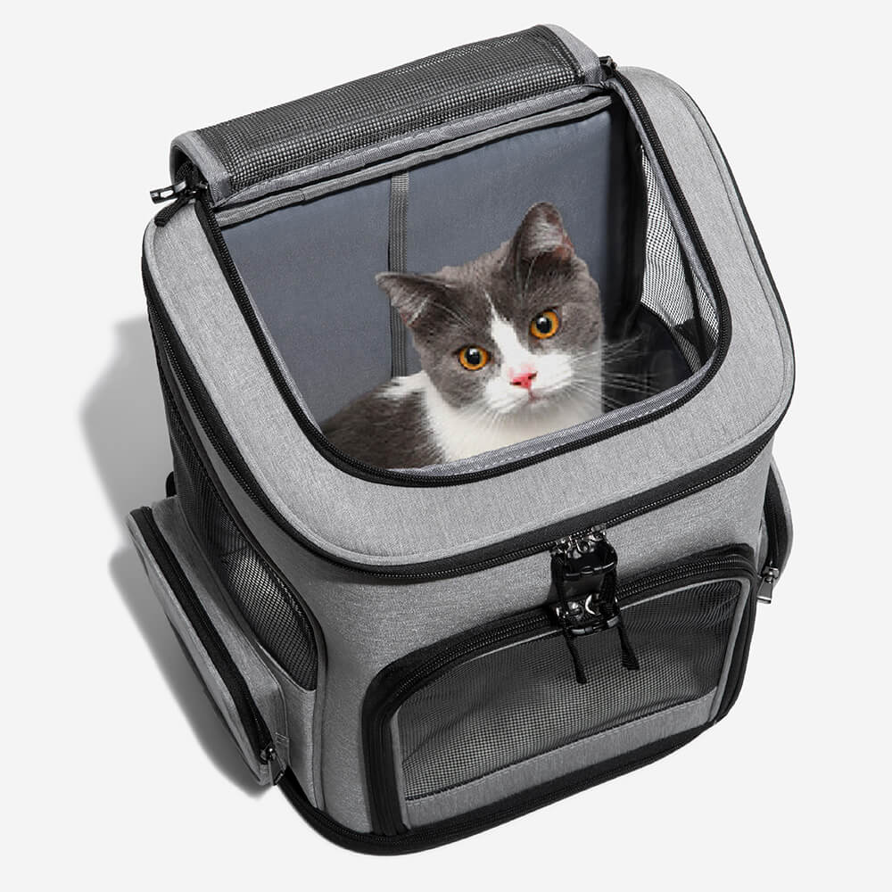 Large best sale cat carrier