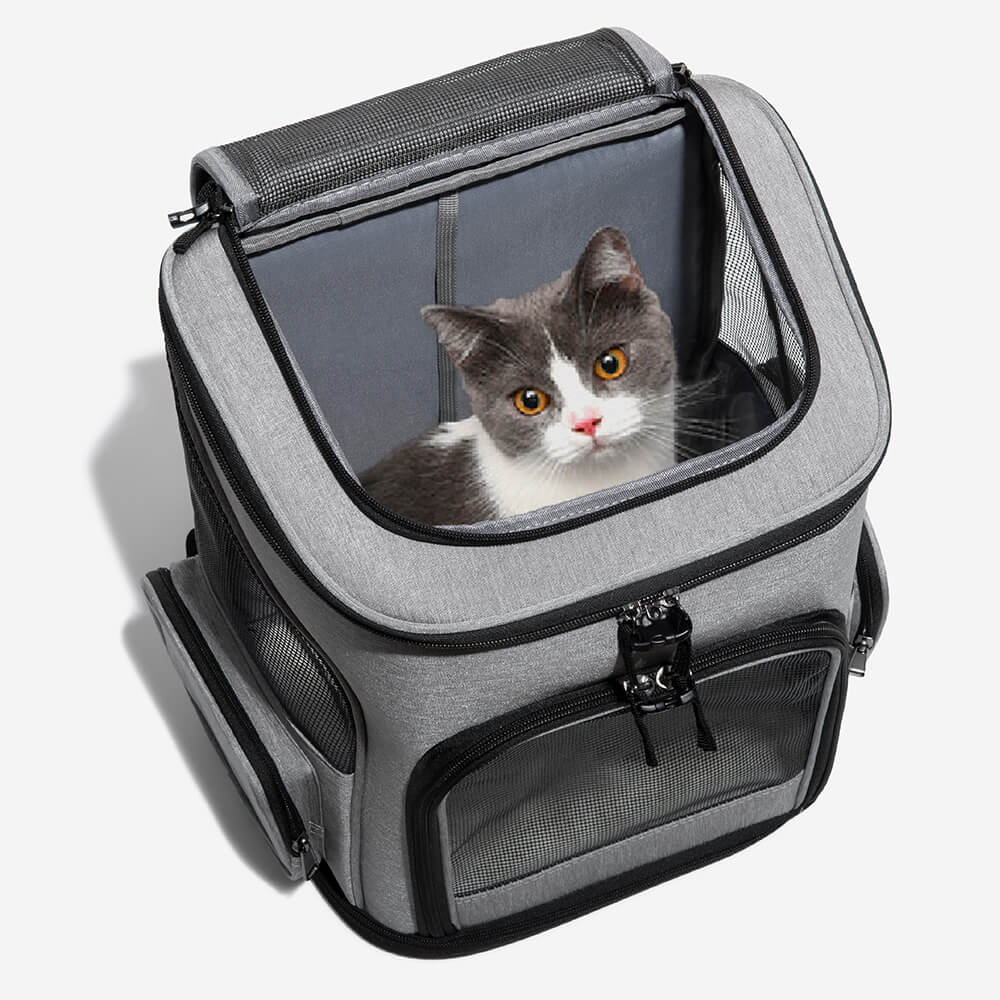 Portable Folding Travel Large Pet Carrier Backpack